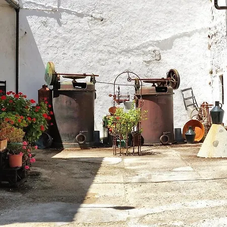 Molino El Vinculo Zahara De La Sierra
